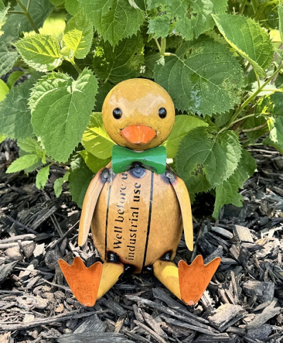 BABY HUEY DUCK AVAIL JAN 2026